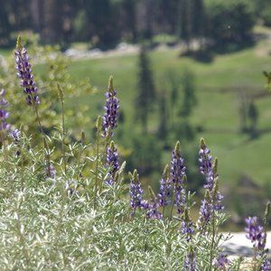 Meet your Posher, Jenn